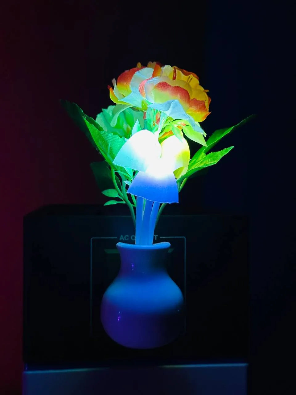 Multicolor Flower Dim Light